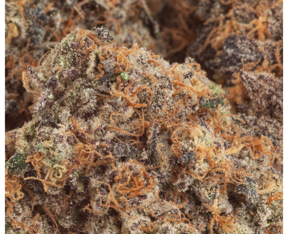 LA Kush Cake GreenTec Medical Cannabis